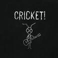 Scott Has a Gun - Cricket